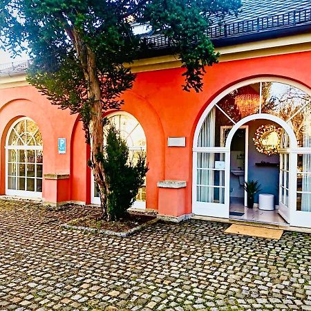 Villa Am Park Apartment Drezno Zewnętrze zdjęcie